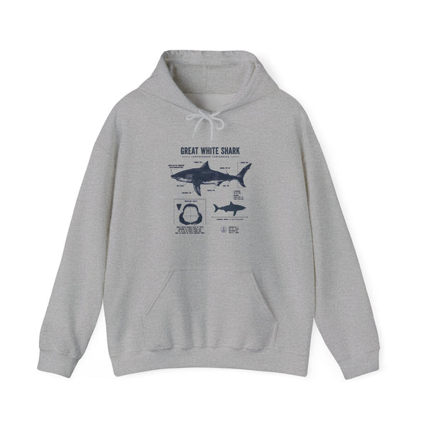 Shark Diagram Hoodie — Great White Shark Anatomy Graphic Sweatshirt