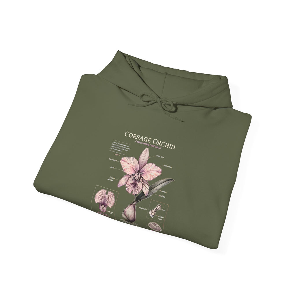 Orchid Botanical Hoodie — Cattleya Orchid Illustration Floral Pullover