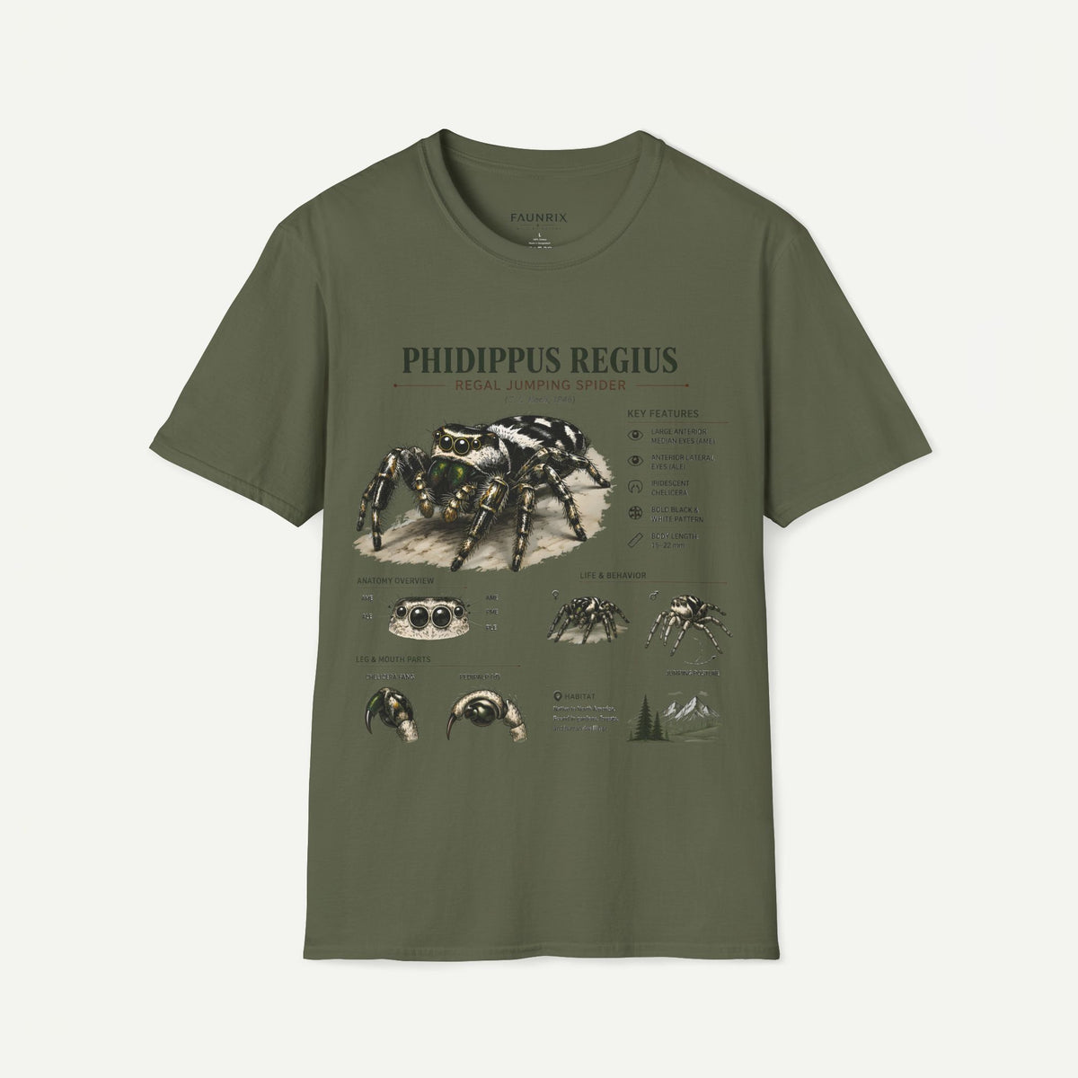Phidippus Regius Jumping Spider Anatomy T-Shirt — Educational Arachnid Tee