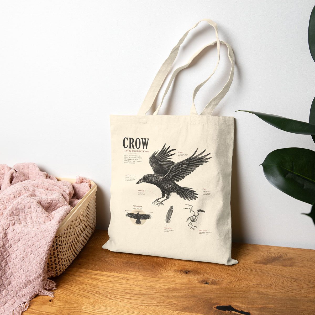 Crow Anatomy Canvas Tote Bag — Vintage Bird Illustration Cotton Tote