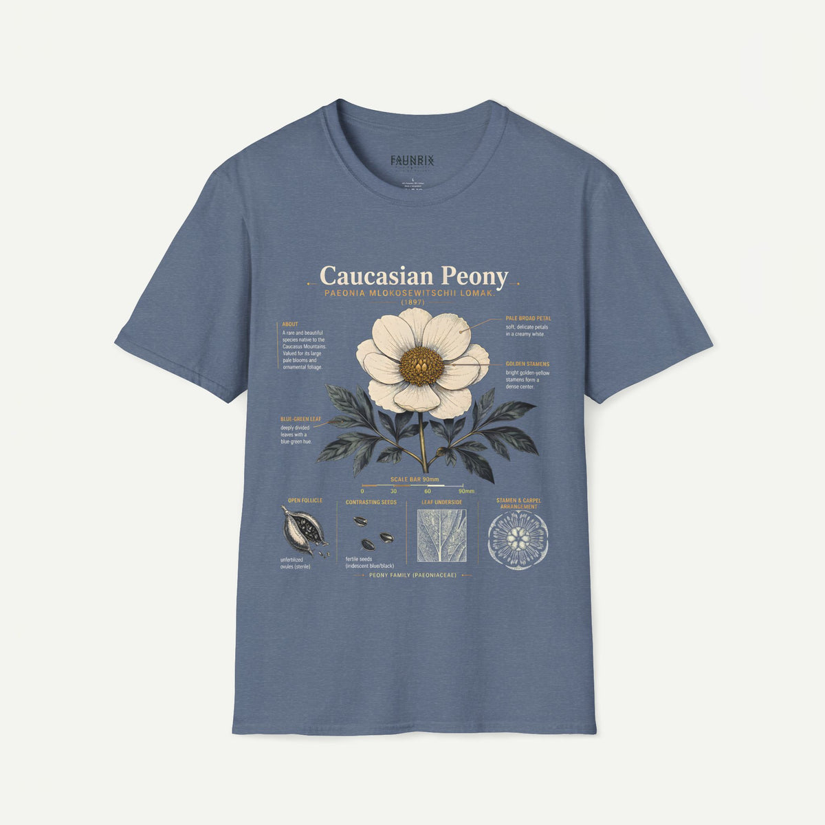 Caucasian Peony Botanical Anatomy T-Shirt — Vintage Floral Illustration Tee