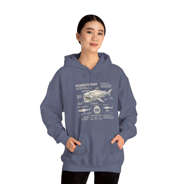 Shark Anatomy Hoodie — Vintage Megalodon Illustration Pullover