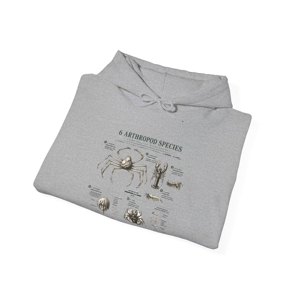 Arthropod Species Hoodie – Vintage Scientific Diagram Sweatshirt