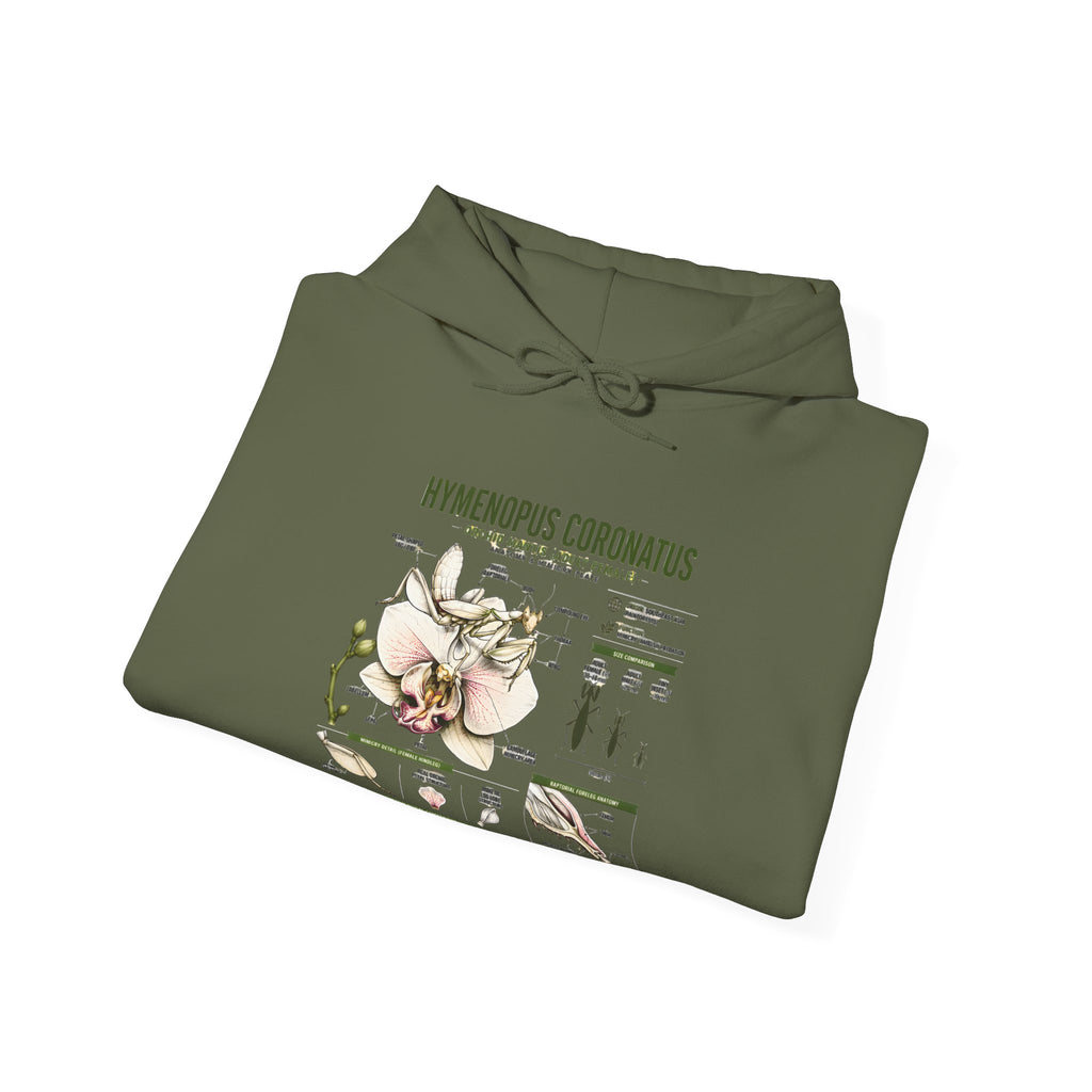 Botanical Hooded Sweatshirt — Hymenopus Coronatus Praying Mantis Illustration