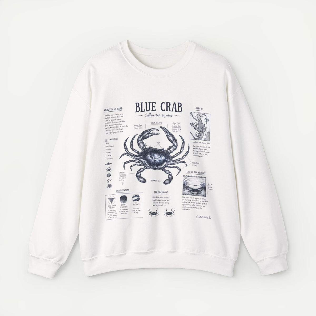 Blue Crab Anatomy Sweatshirt