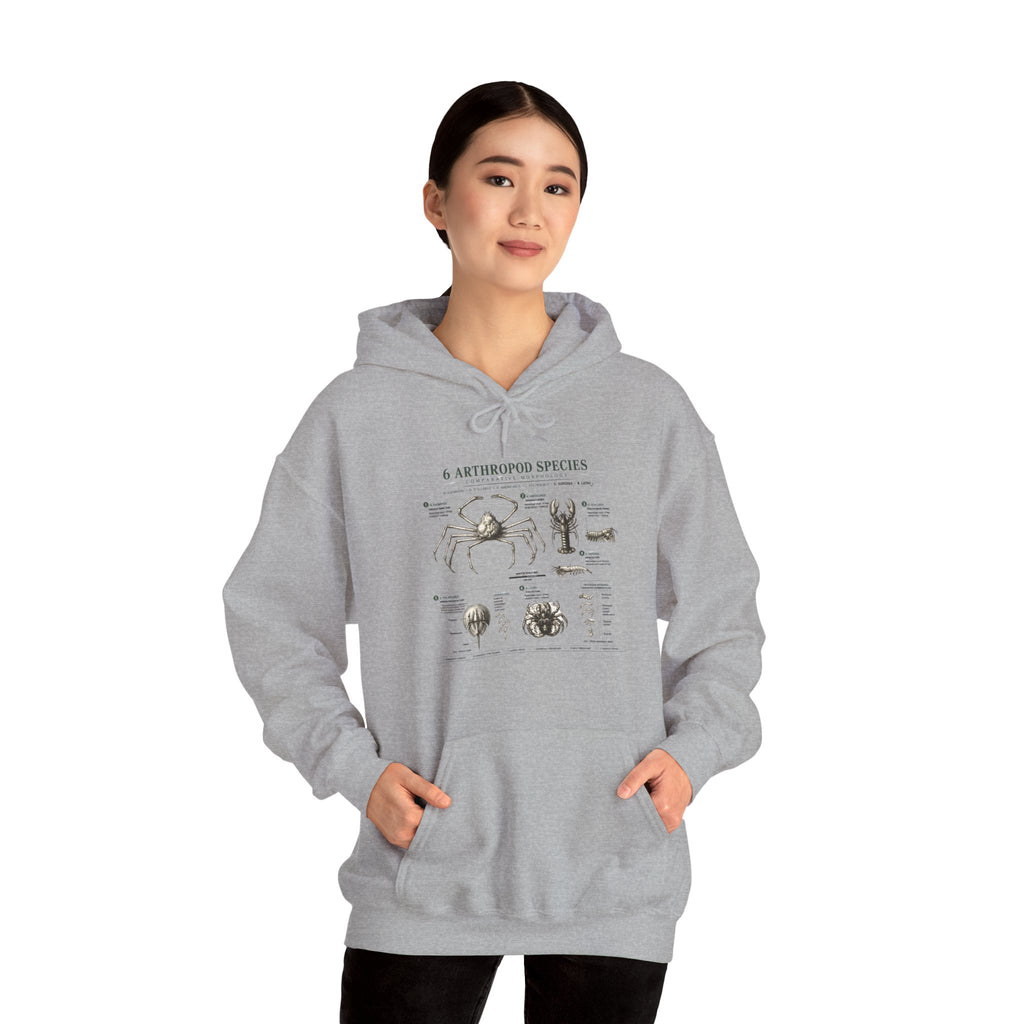 Arthropod Species Hoodie – Vintage Scientific Diagram Sweatshirt