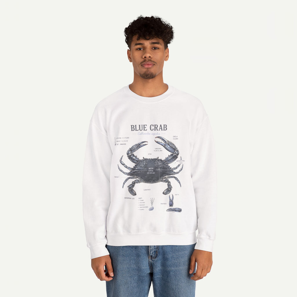 Blue Crab Sweatshirt — Vintage Nautical Marine Illustration