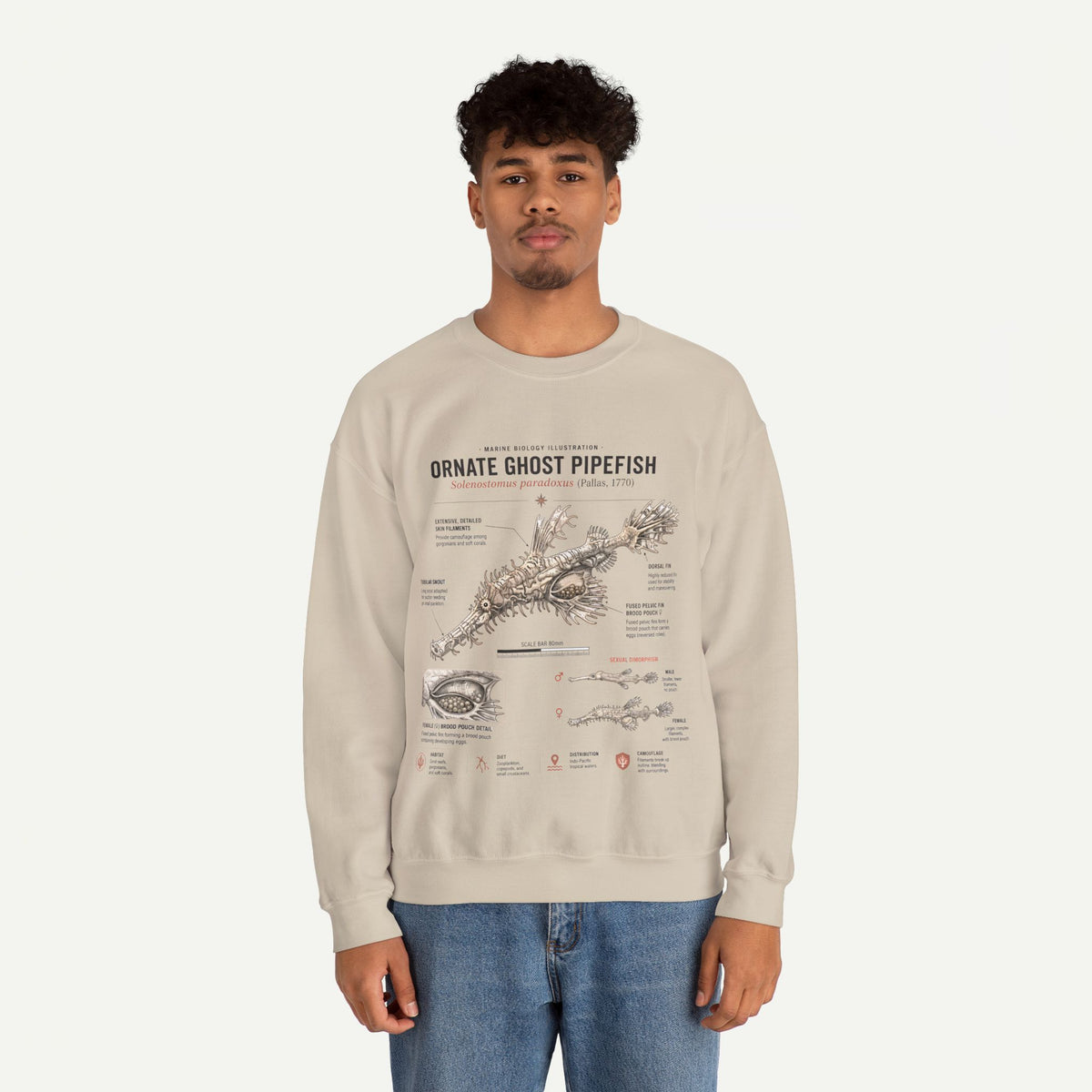 Ornate Ghost Pipefish Anatomy Sweatshirt