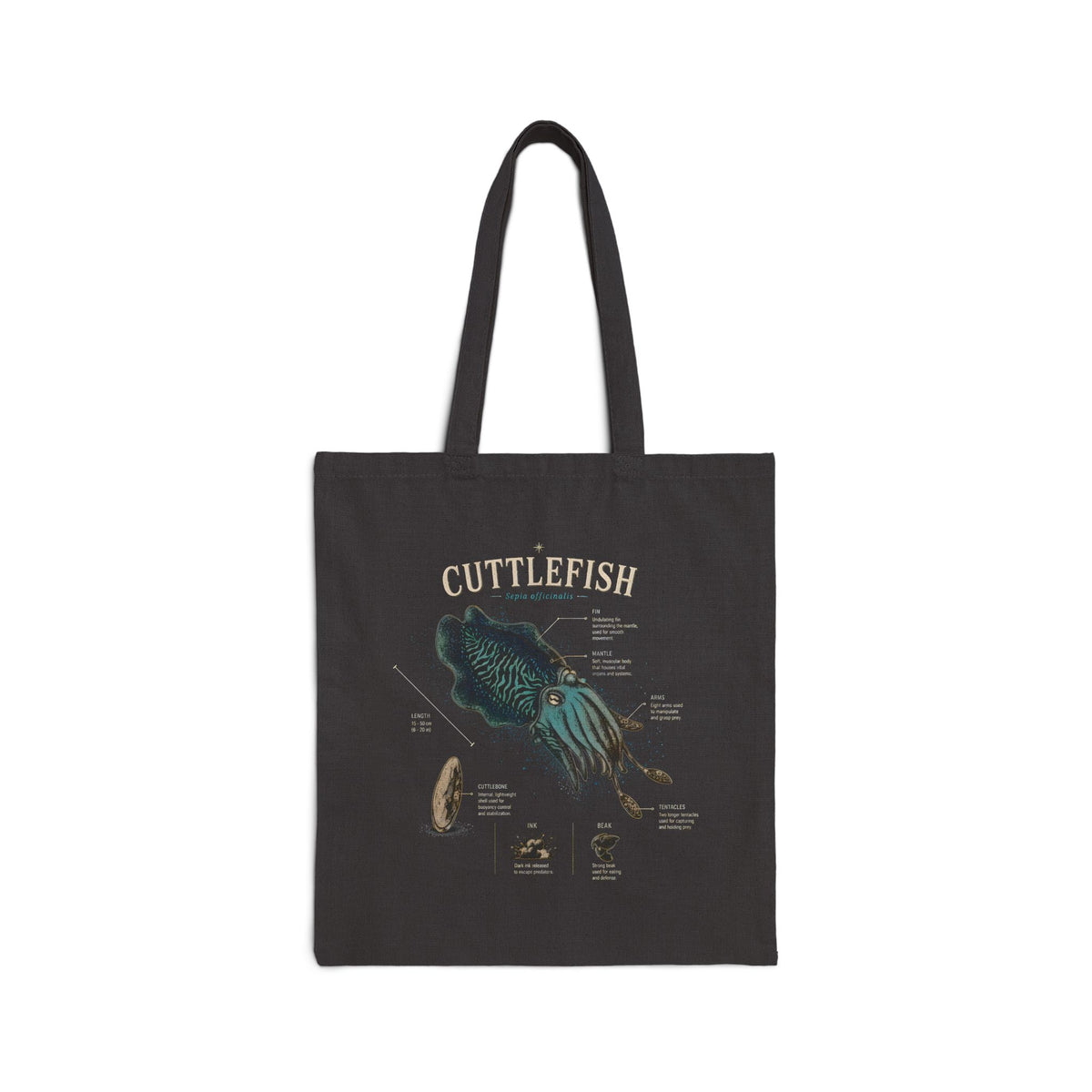 Cuttlefish Anatomy Tote Bag – Vintage Marine Illustration Cotton Canvas Shopper