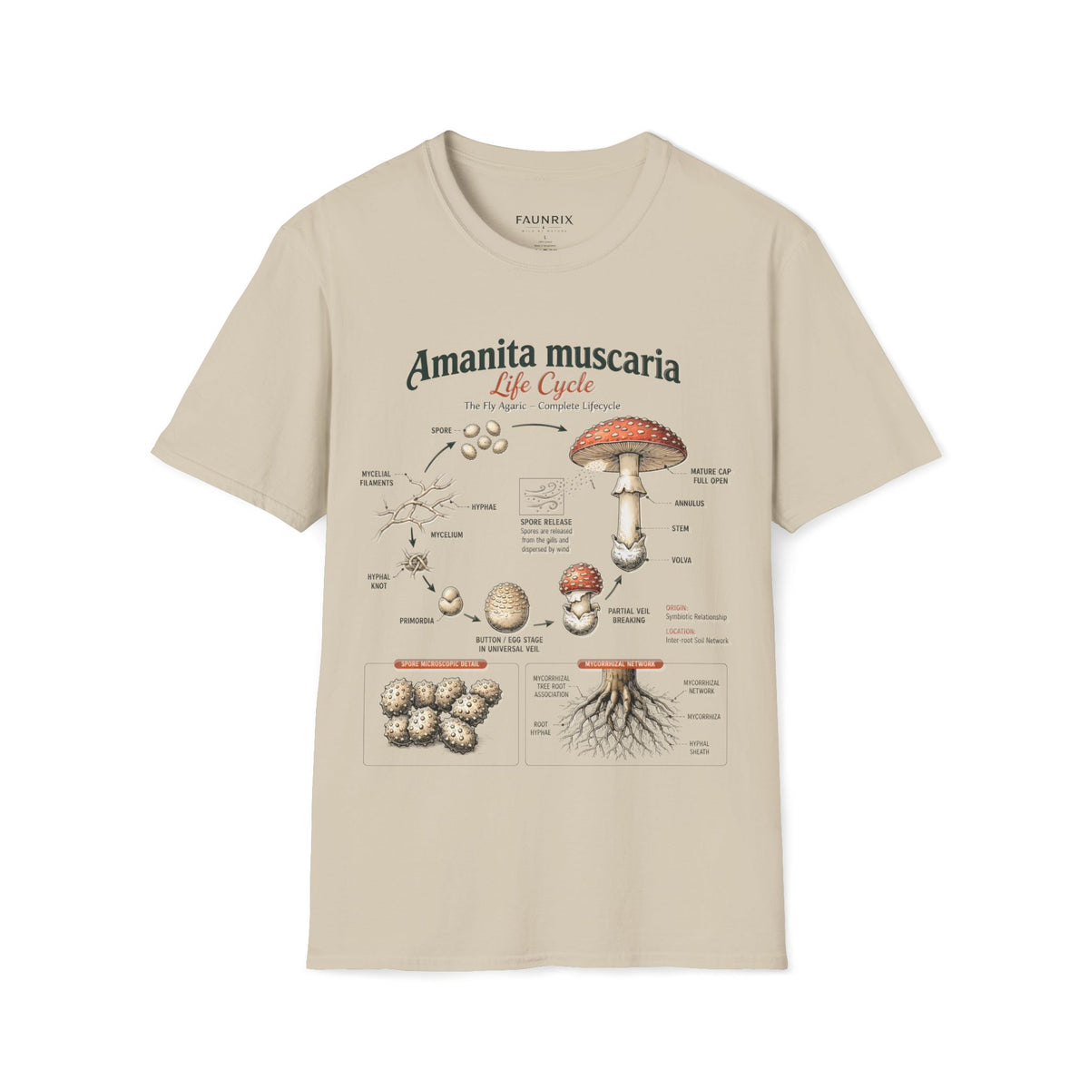 Amanita muscaria Life Cycle Anatomy T-Shirt — Educational Mushroom Diagram Tee