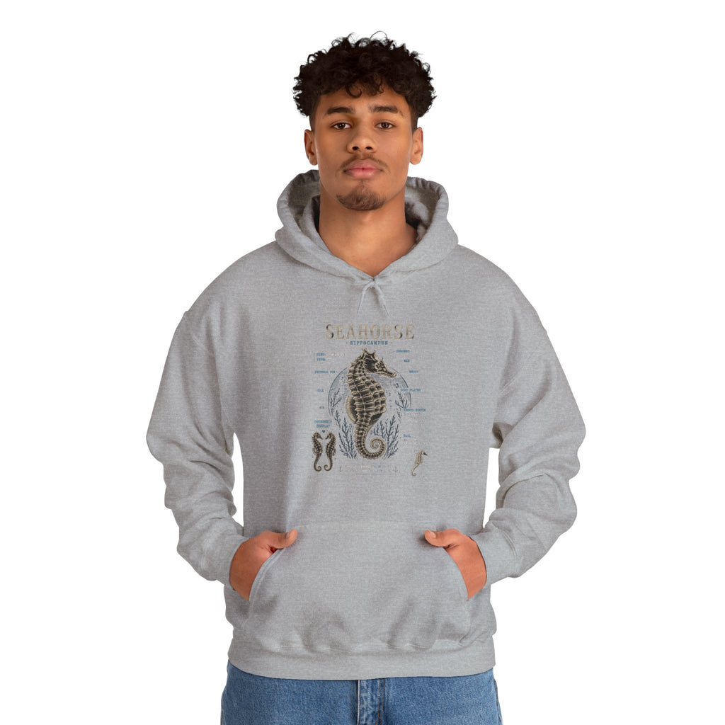 Seahorse Anatomy Hoodie — Vintage Marine Illustration Sweatshirt