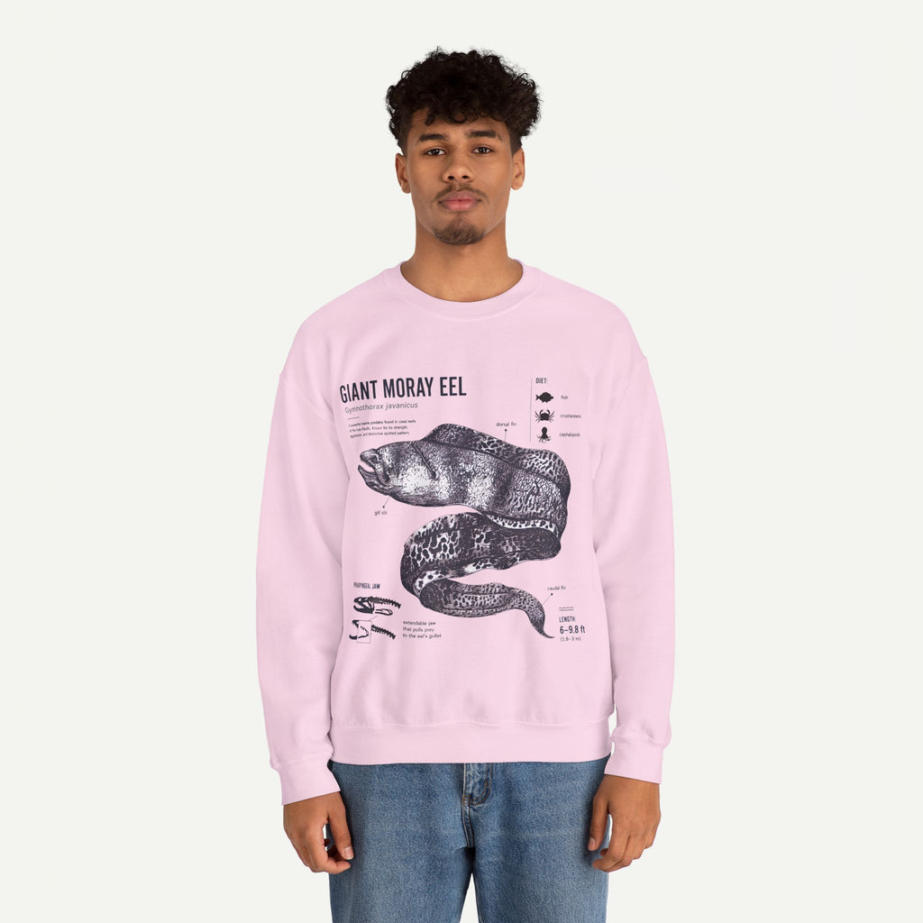 Giant Moray Eel Anatomy Sweatshirt