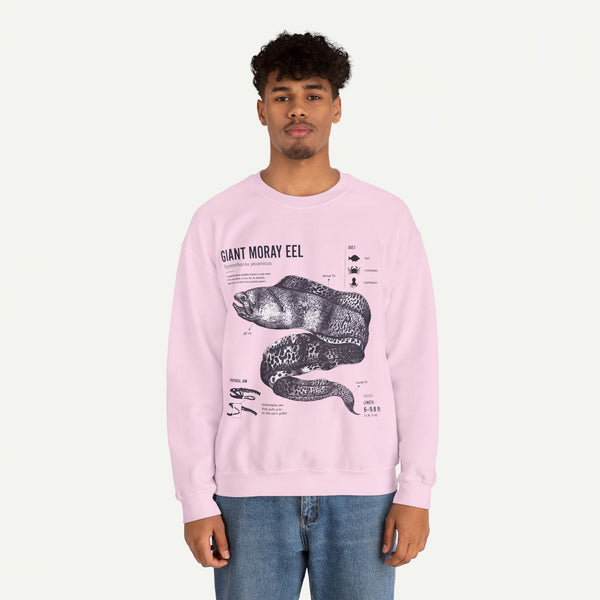 Giant Moray Eel Anatomy Sweatshirt