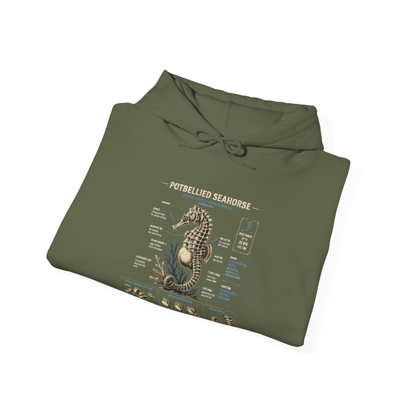 Pocketwatch Seahorse Anatomy Hoodie — Vintage Nautical Illustration Sweatshirt