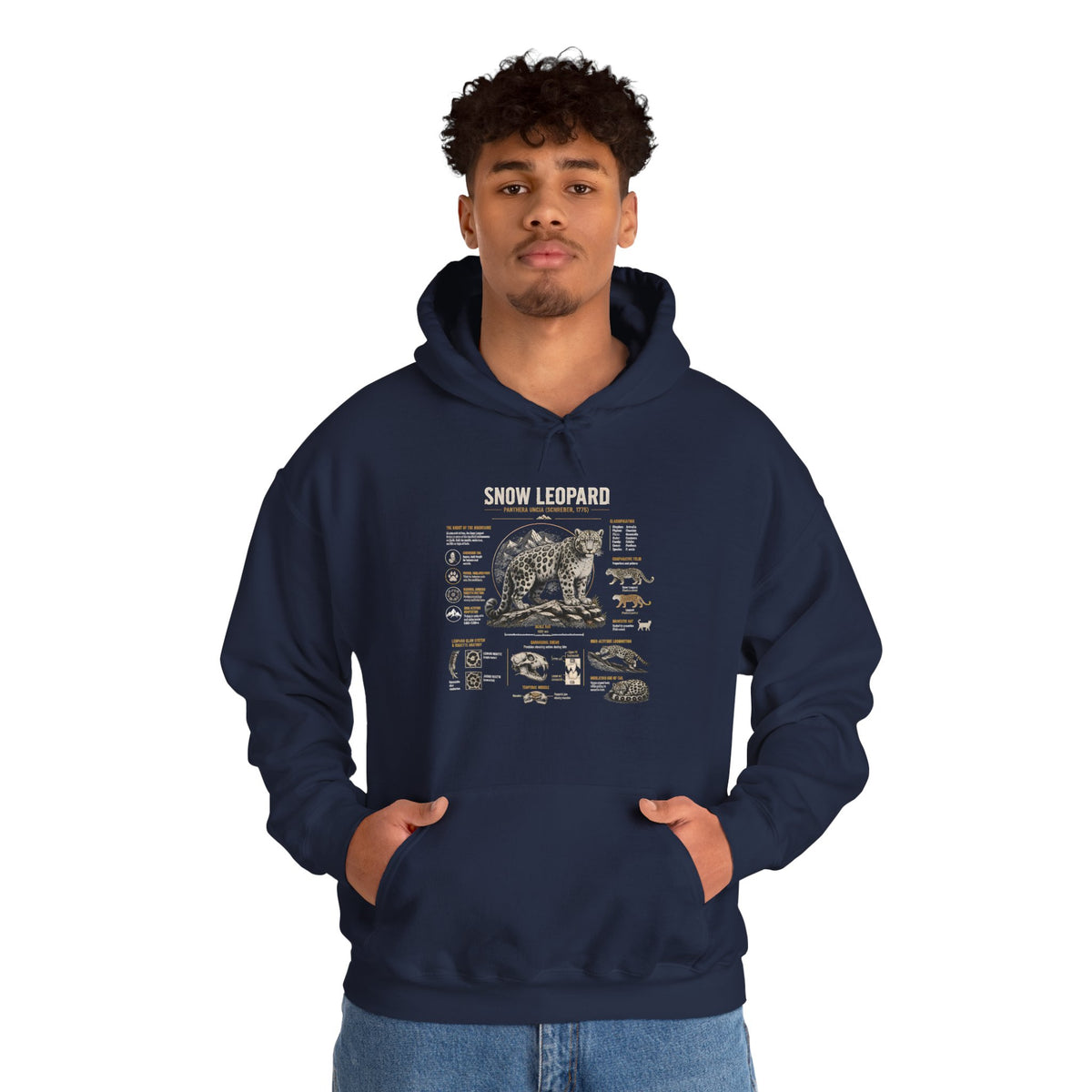 Bear Anatomy Hoodie — Vintage Wildlife Illustration Sweatshirt