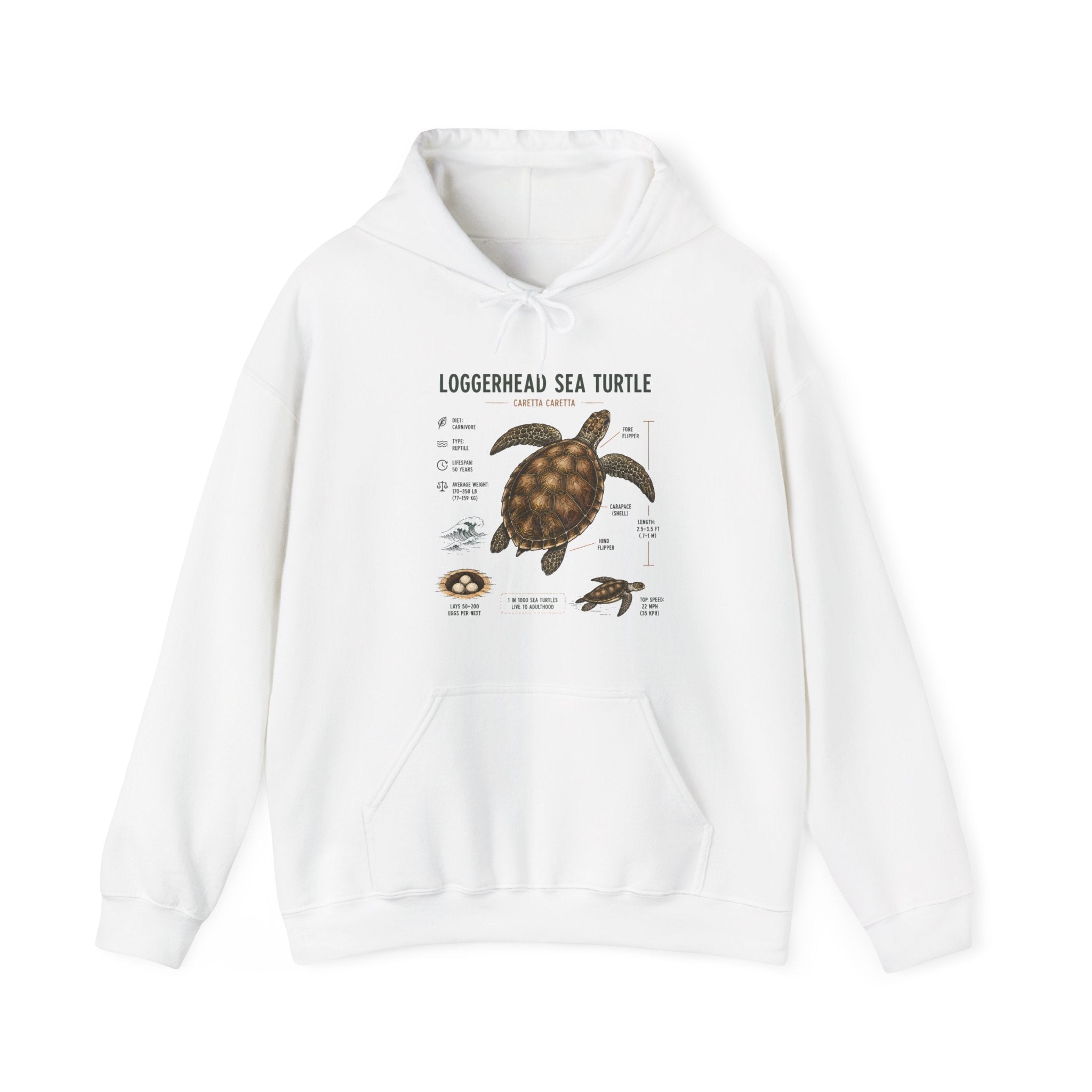 Loggerhead Sea Turtle Diagram Hoodie – Marine Biology Illustration Sweatshirt Secondary image