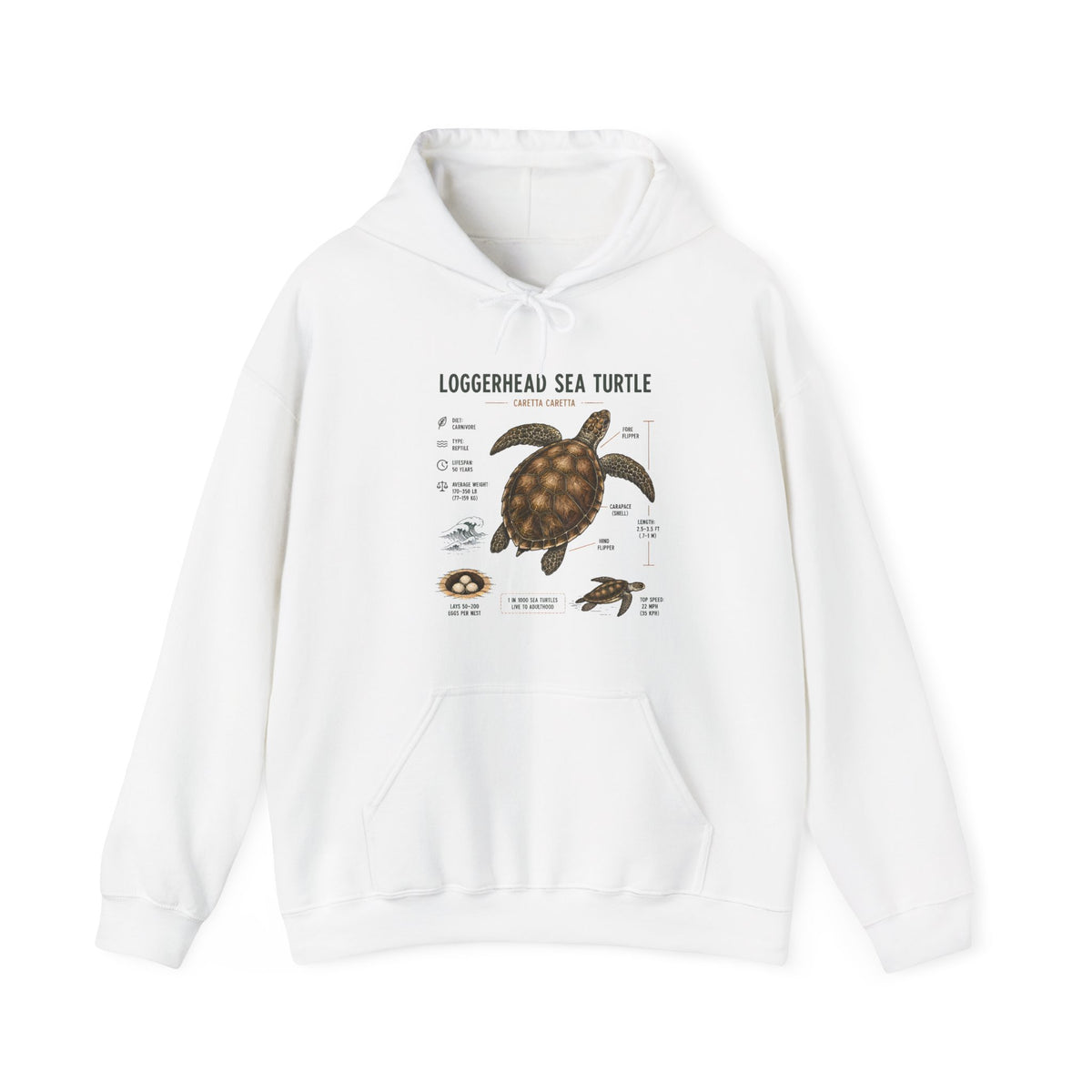 Loggerhead Sea Turtle Diagram Hoodie – Marine Biology Illustration Sweatshirt