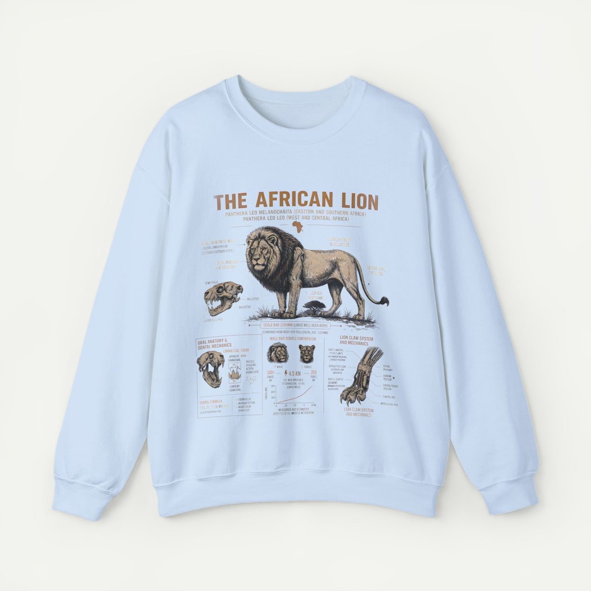 African Lion Anatomy Crewneck Sweatshirt