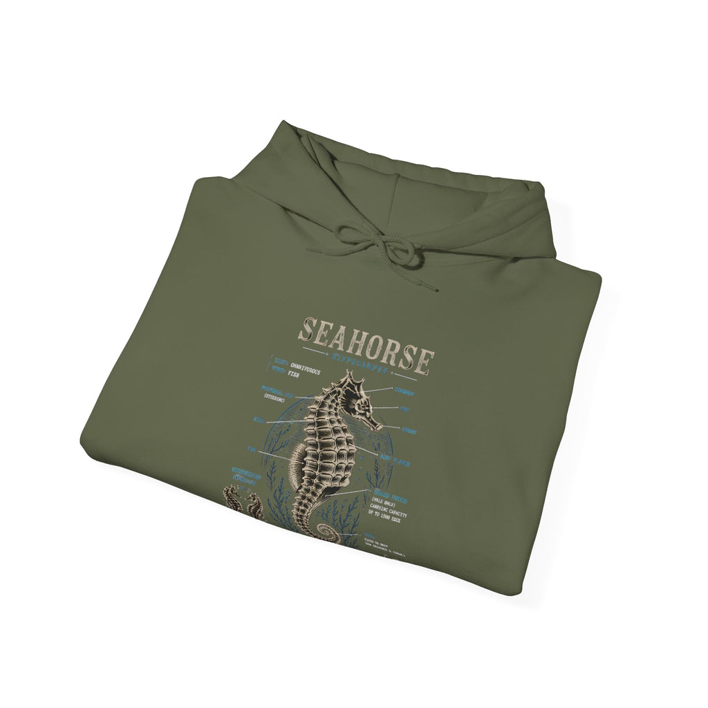Seahorse Anatomy Hoodie — Vintage Marine Illustration Sweatshirt