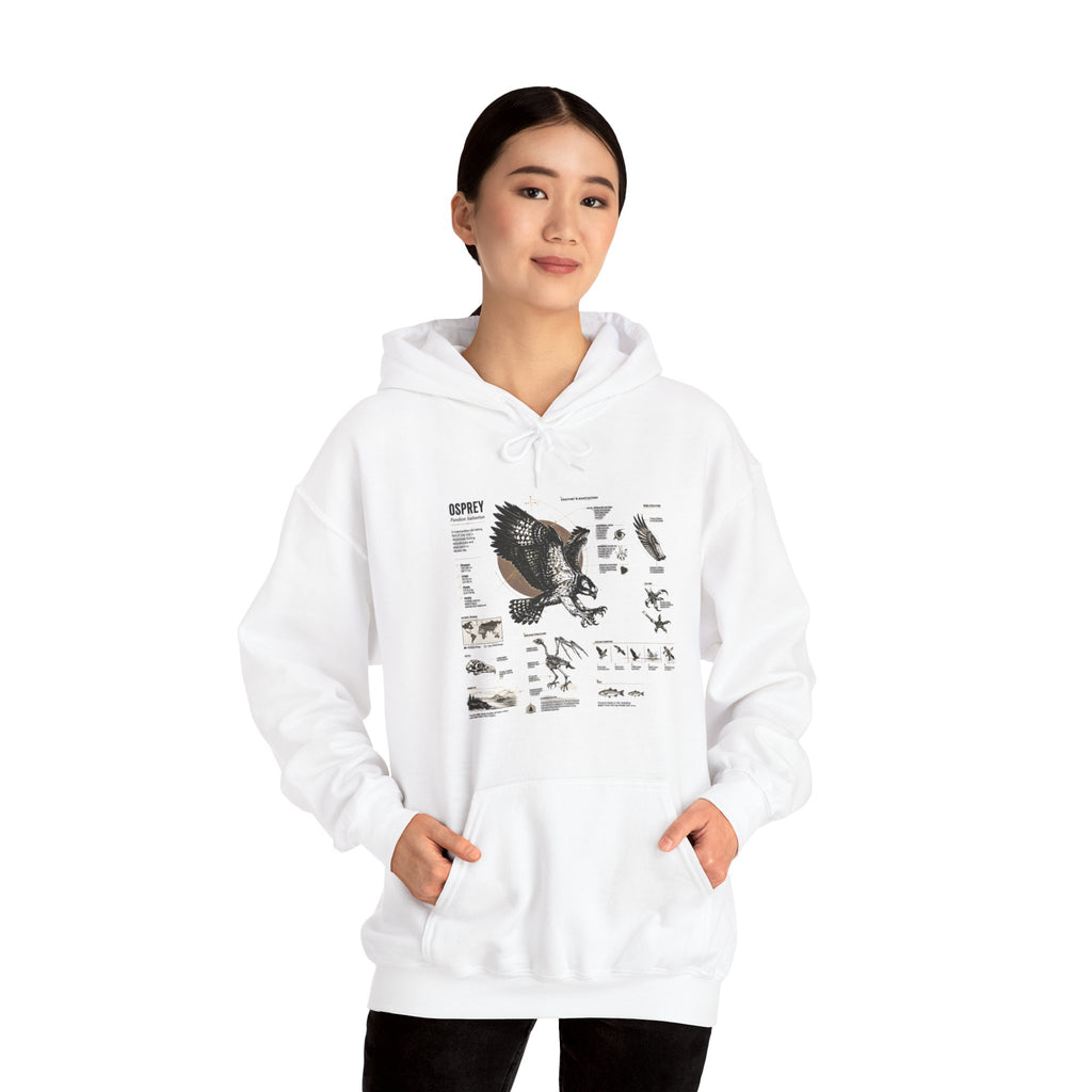 Eagle Anatomy Hoodie — Vintage Ornithology Graphic Sweatshirt