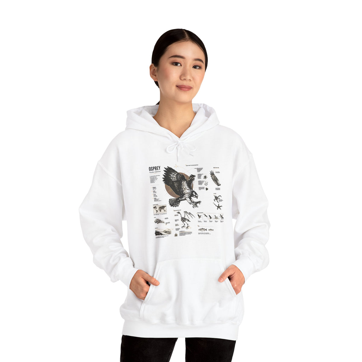 Eagle Anatomy Hoodie — Vintage Ornithology Graphic Sweatshirt