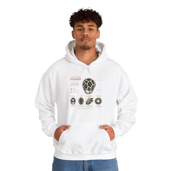 Hoodie — Mushroom Anatomy Chart Graphic Hoodie