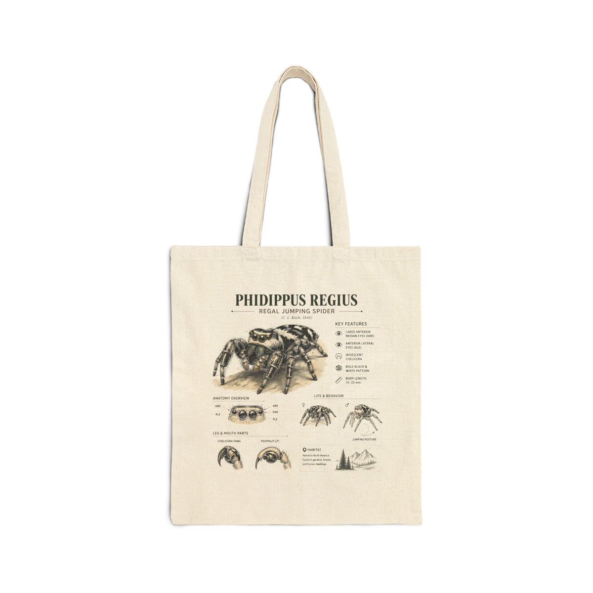 Spider Anatomy Tote Bag — Phidippus Regius Jumping Spider Canvas Tote Main image