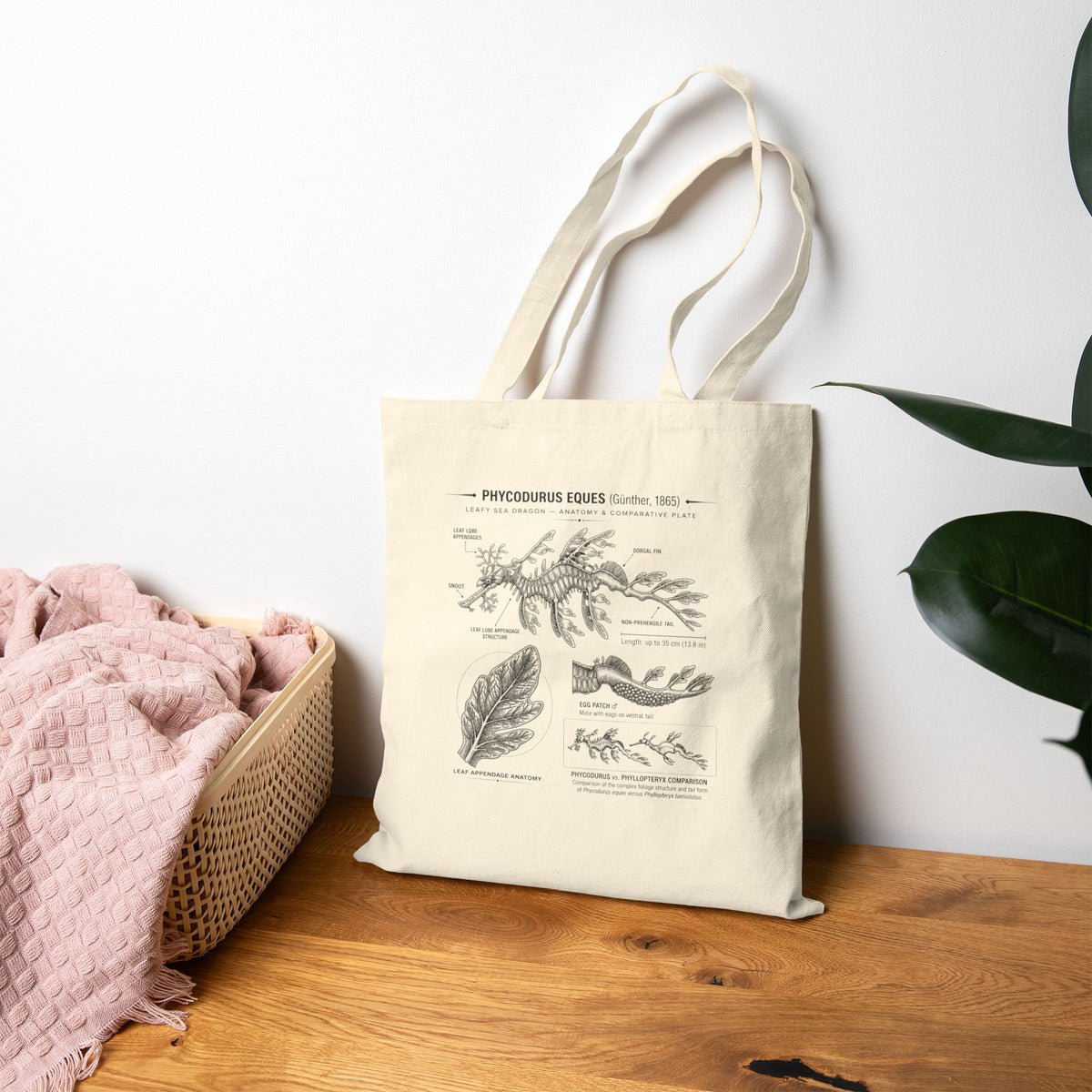 Botanical Anatomy Canvas Tote — Vintage Plant Illustration Eco Tote