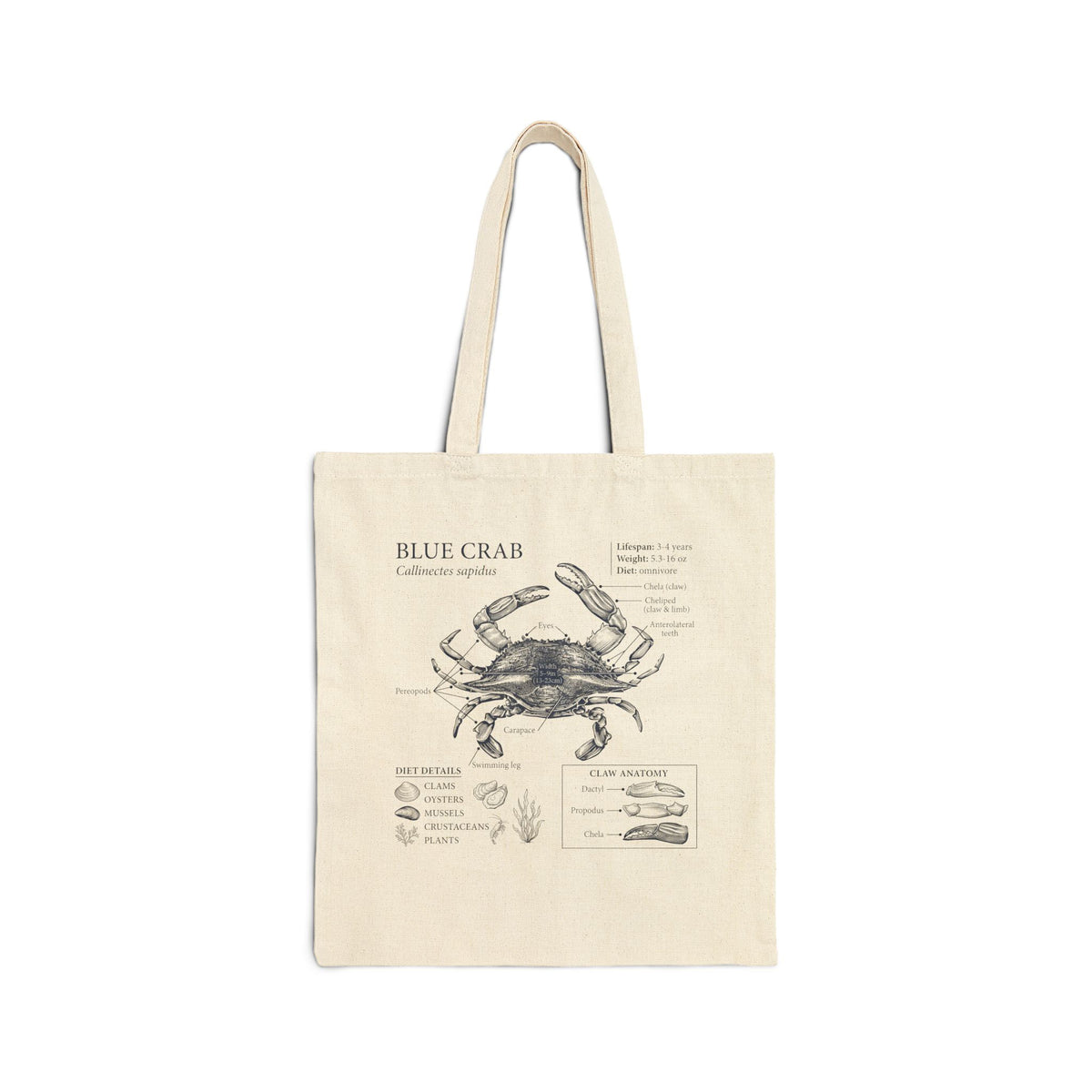 Vintage Blue Crab Anatomy Cotton Canvas Tote Bag Main image