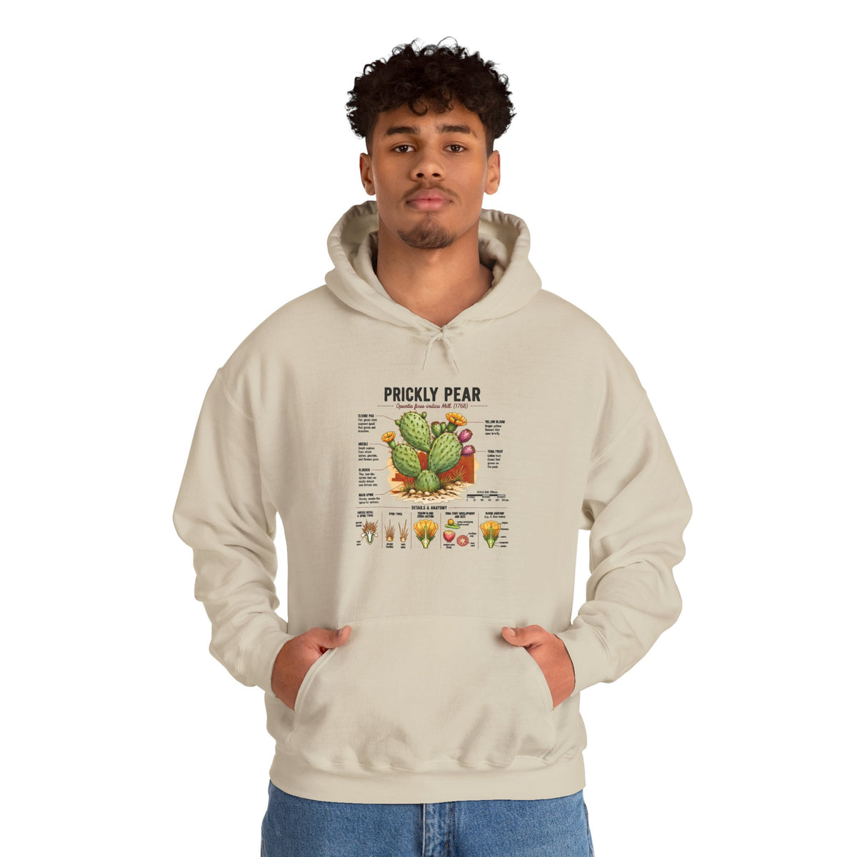 Prickly Pear Botanical Hoodie – Cactus Anatomy Illustrated Sweatshirt