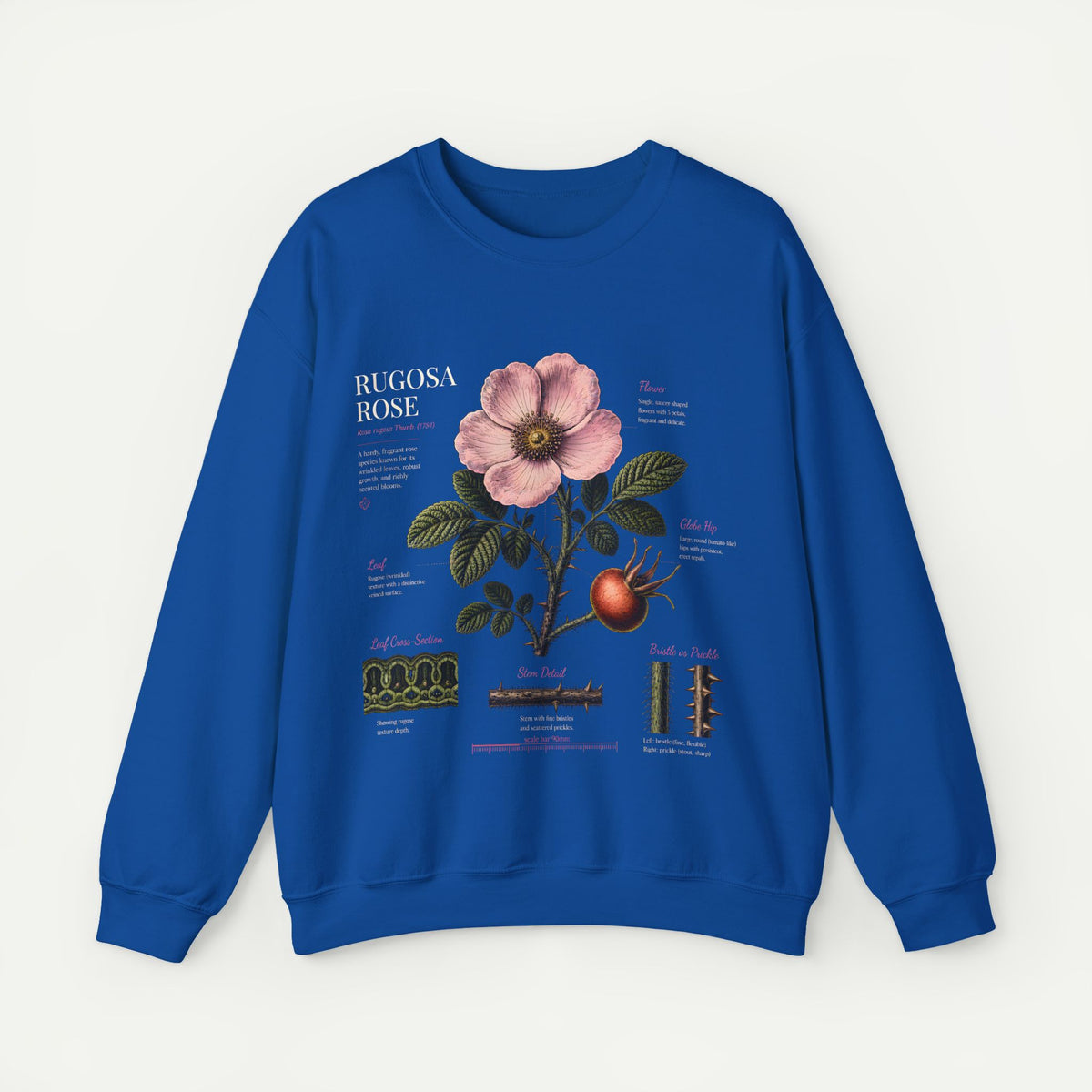 Botanical Rose Crewneck Sweatshirt – Vintage Floral Illustration