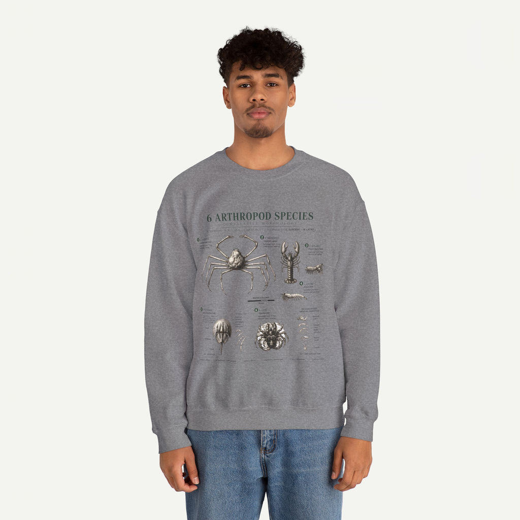Arthropod Species Diagram Sweatshirt — Vintage Scientific Illustration Crewneck