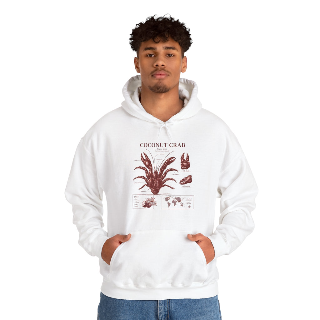 Coconut Crab Anatomy Hoodie — Vintage Botanical & Marine Study Print