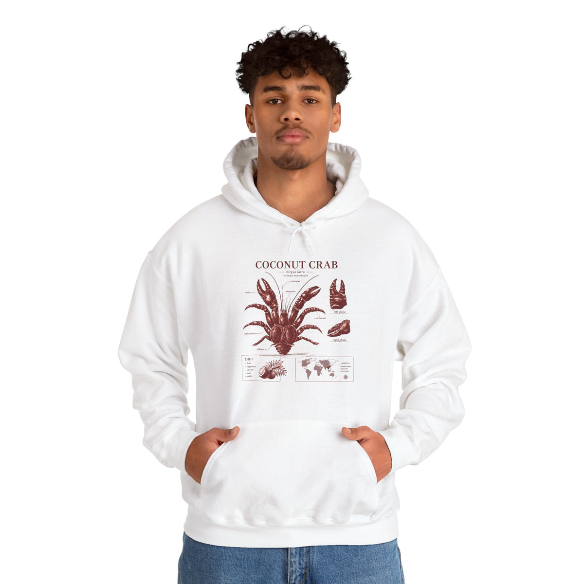 Coconut Crab Anatomy Hoodie — Vintage Botanical & Marine Study Print