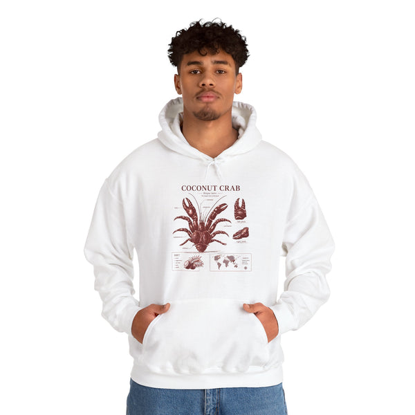 Coconut Crab Anatomy Hoodie — Vintage Botanical & Marine Study Print