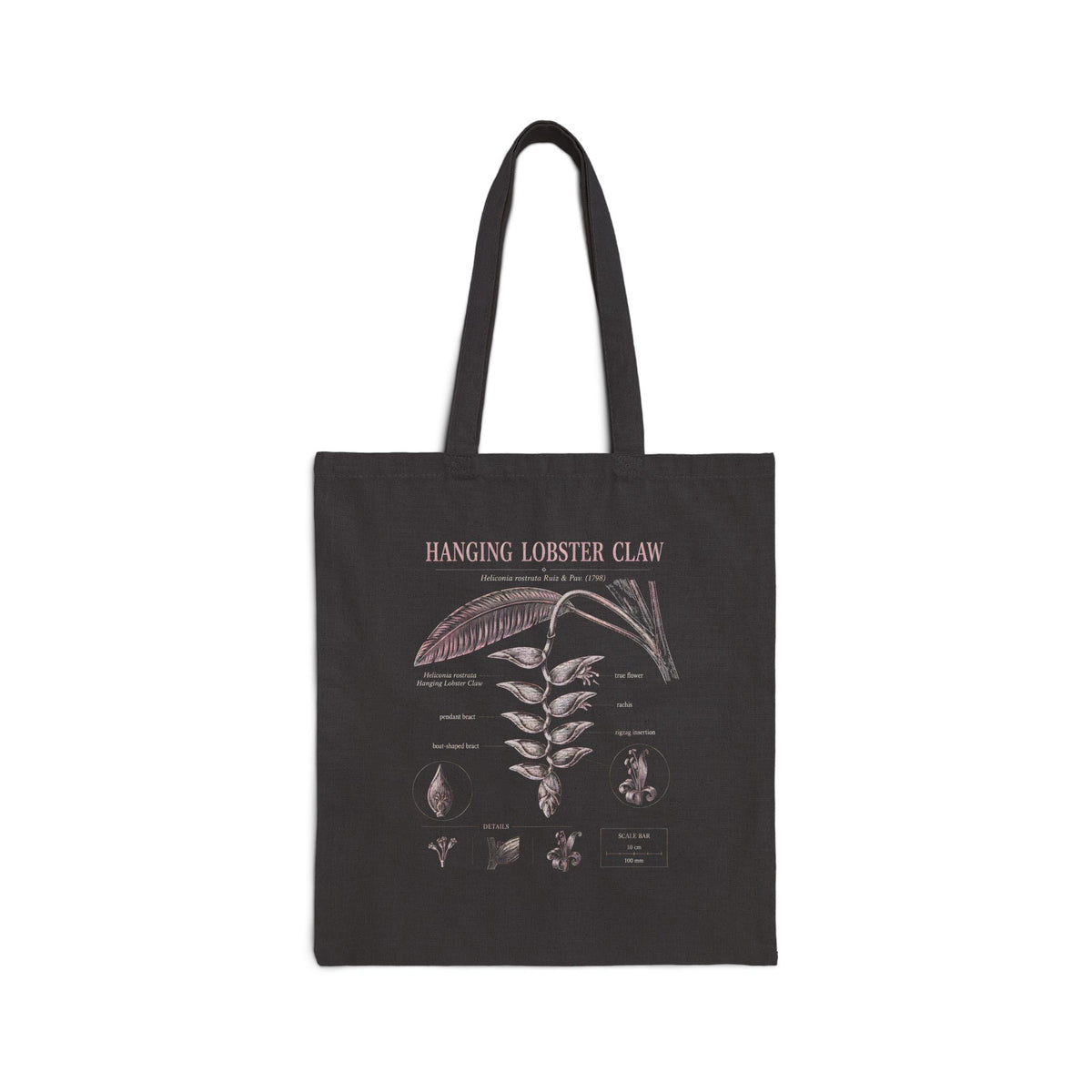 Botanical Hanging Lobster Club Cotton Tote Bag Main image