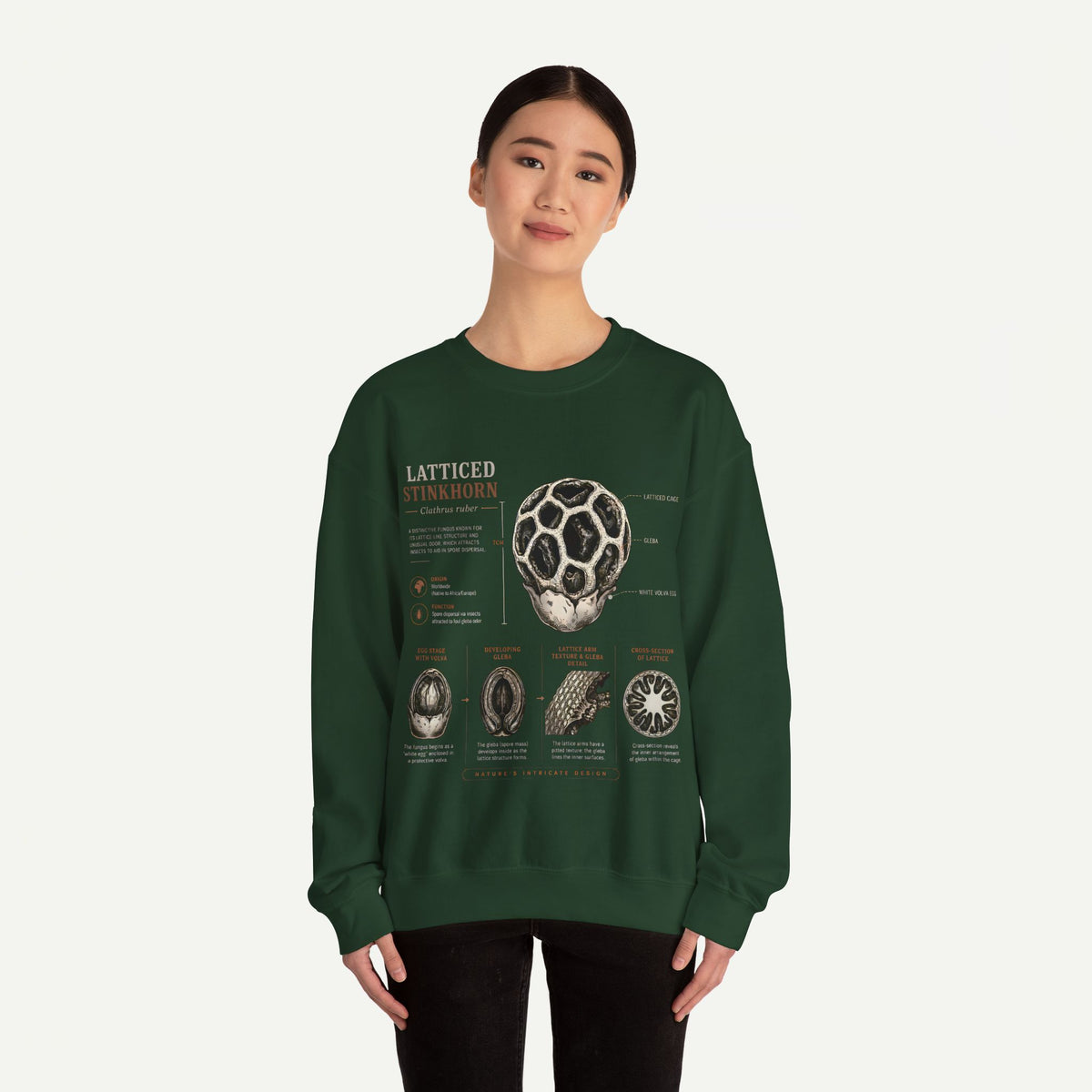Mushroom Anatomy Sweatshirt – Latticeed Stinkhorn Mycology Crewneck