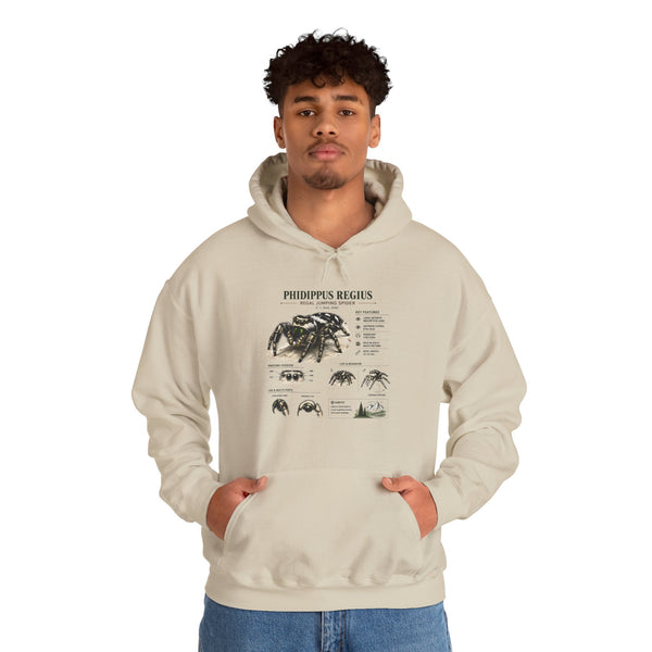 Tarantula Species Hoodie — Phidippus Regius Educational Spider Sweatshirt
