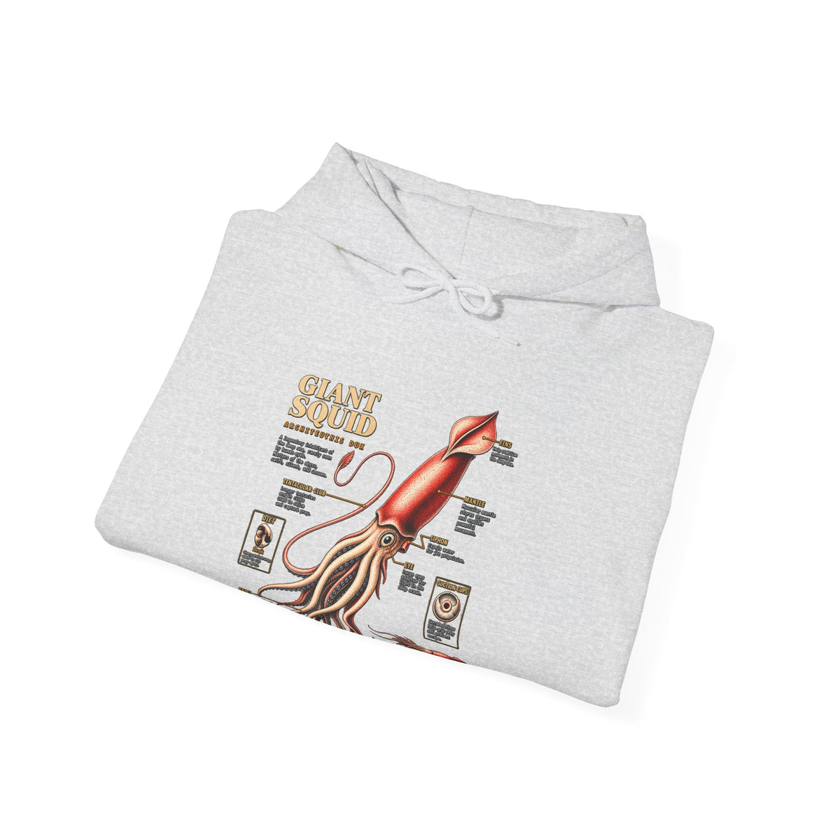 Squid Anatomy Hoodie — Vintage Scientific Illustration Pullover