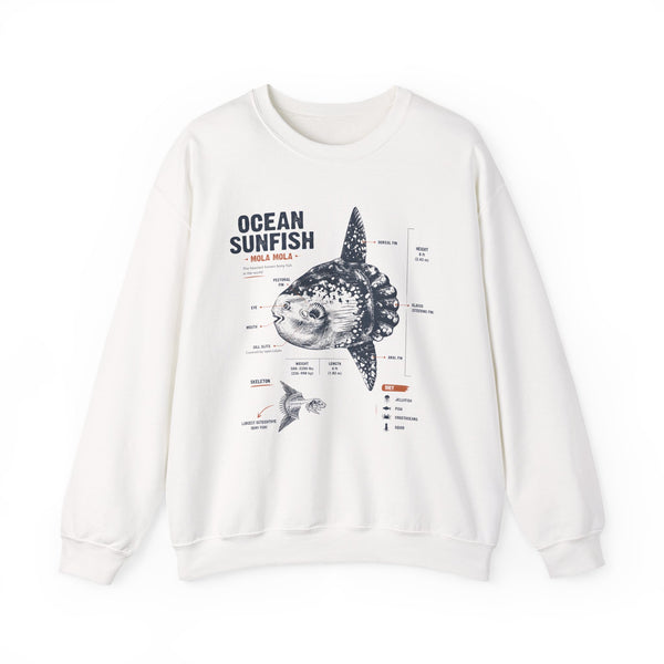 Ocean Sunfish Illustration Sweatshirt — Mola Mola Anatomy Crewneck