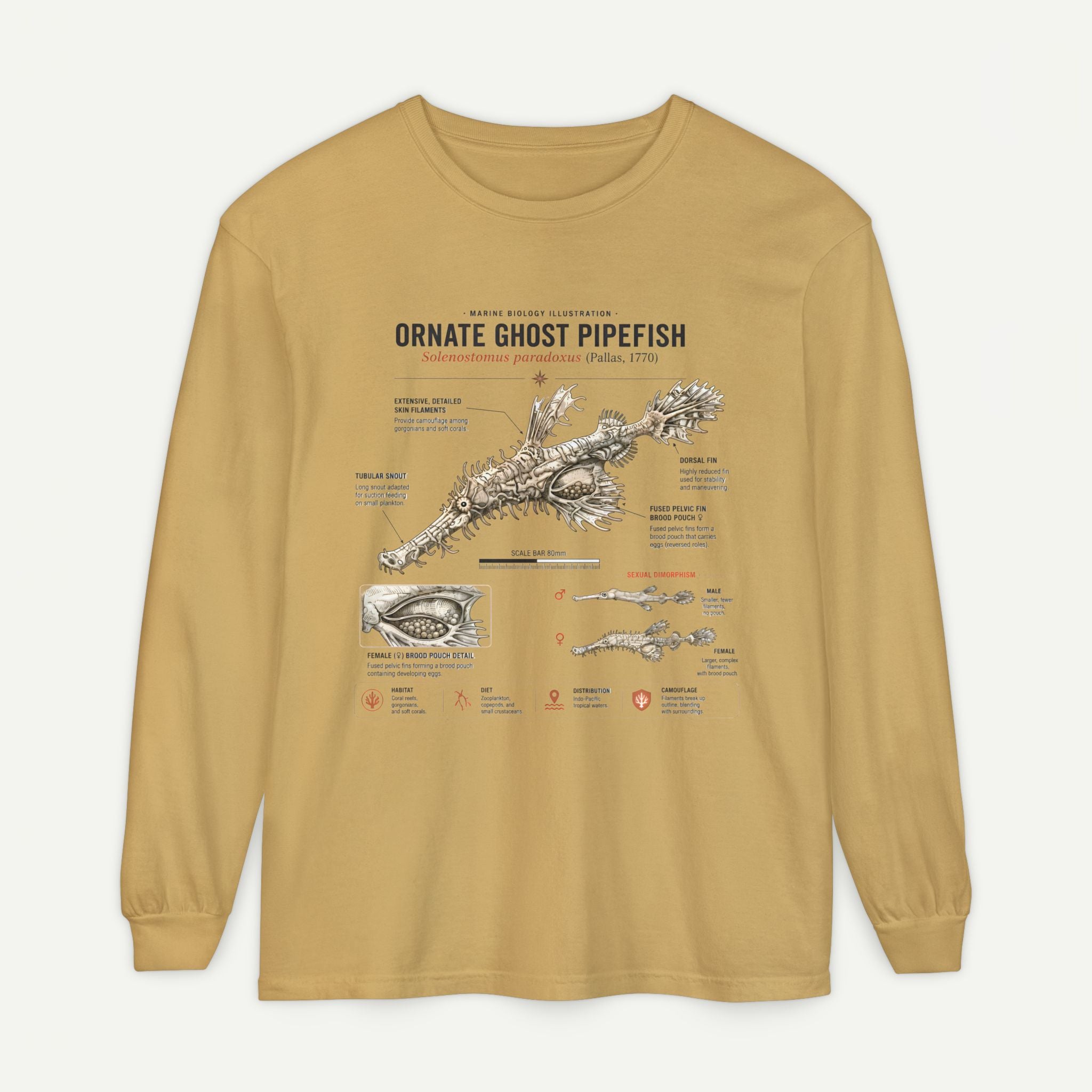 Ornate Ghost Pipefish Anatomical Long Sleeve Tee Secondary image
