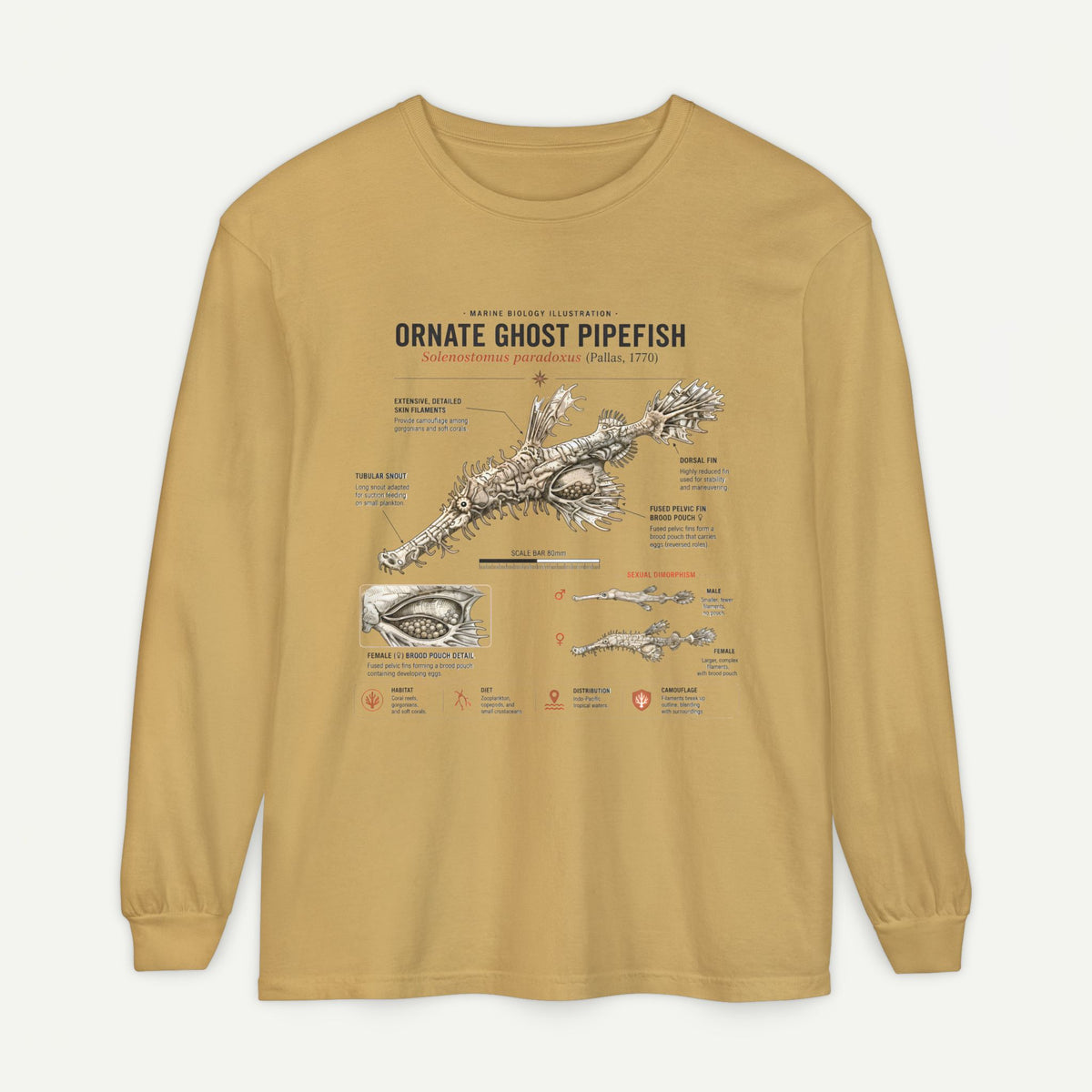 Ornate Ghost Pipefish Anatomical Long Sleeve Tee