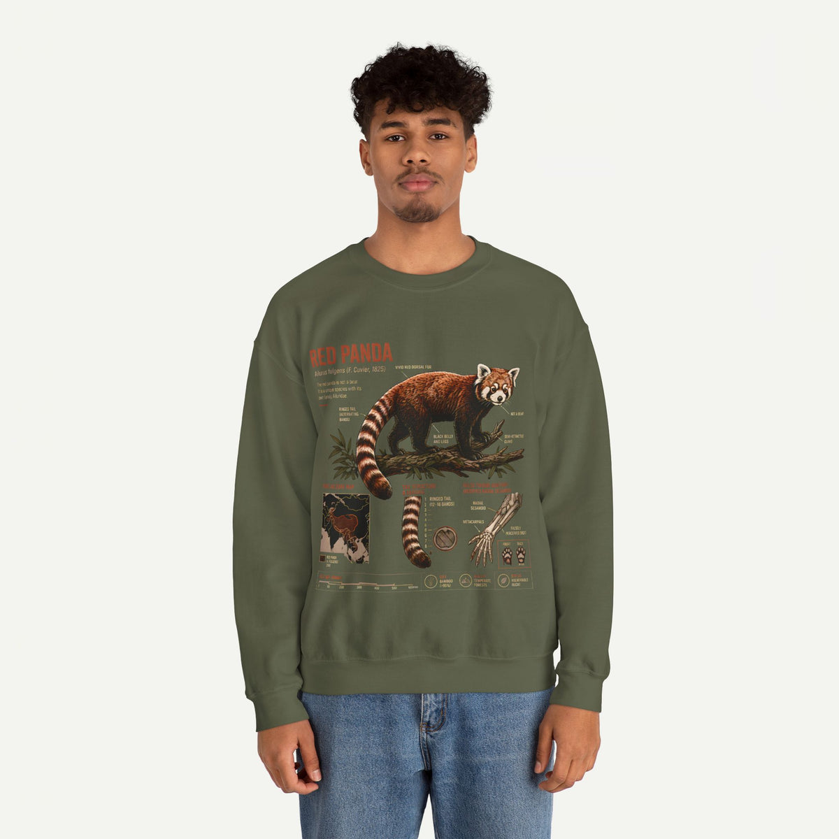 Red Panda Anatomy Sweatshirt — Vintage Wildlife Crewneck