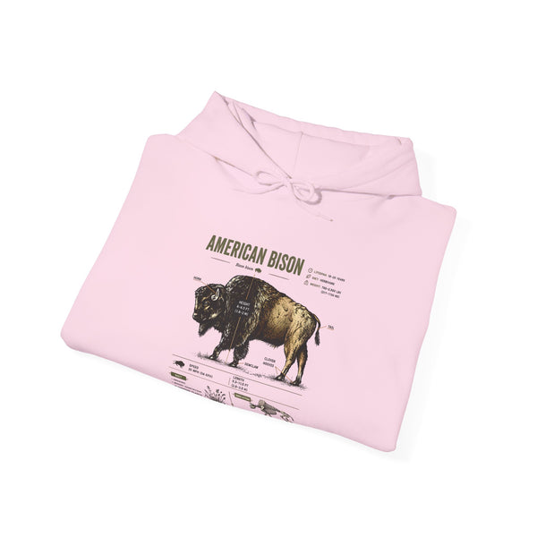 Bison Anatomy Hoodie — American Bison Illustration & Facts Sweatshirt
