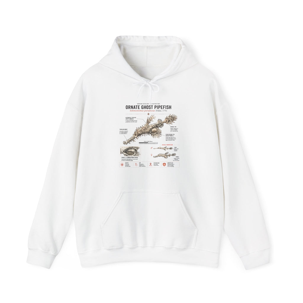 Ornate Ghost Pipefish Anatomy Hoodie — Scientific Diagram Pullover