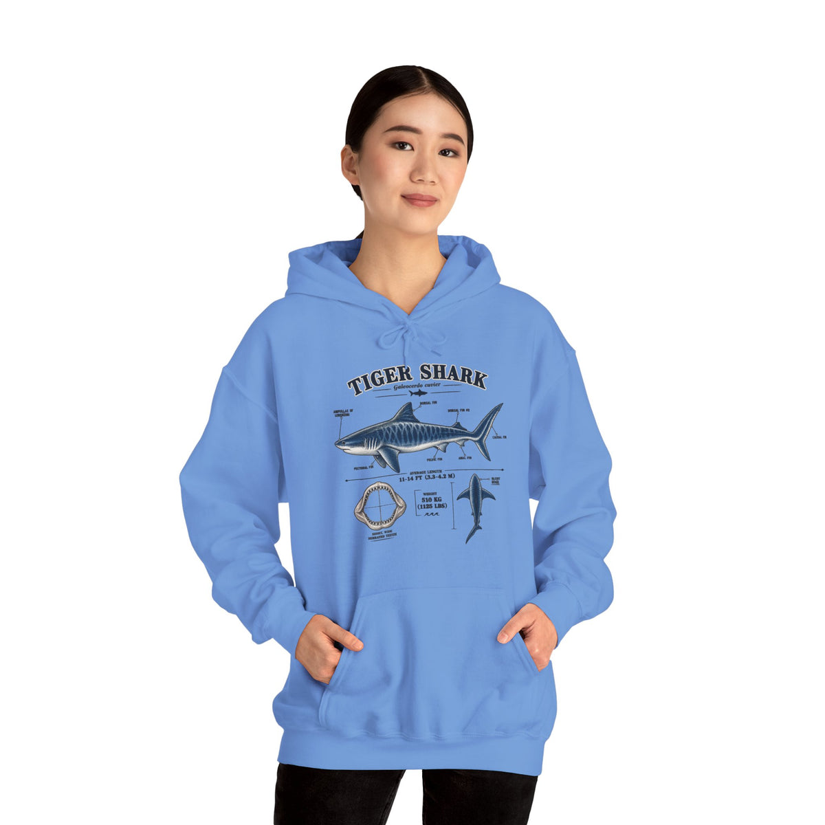 Tiger Shark Anatomy Hoodie — Nautical Science Graphic Pullover
