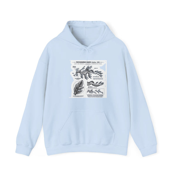 Botanical Anatomy Hoodie — Vintage Plant Diagram Sweatshirt
