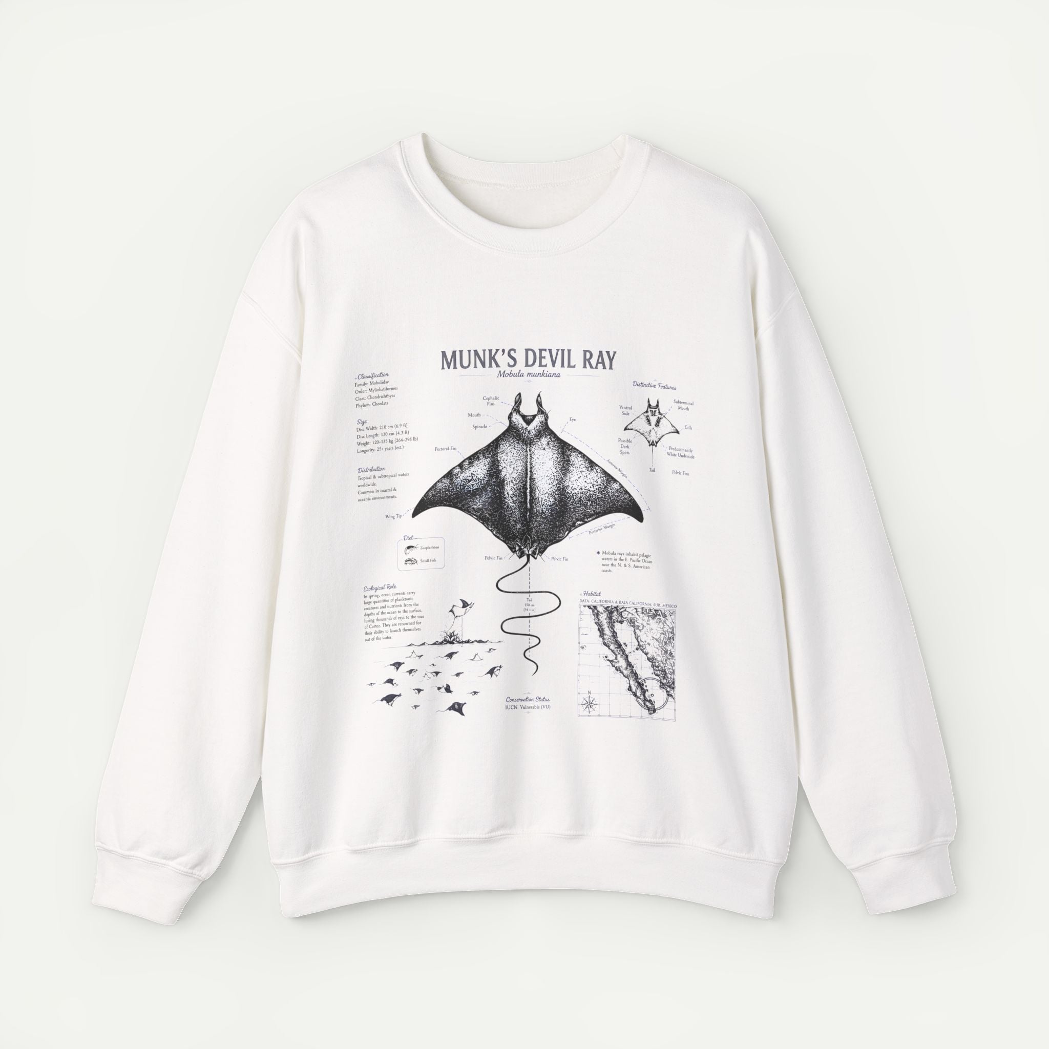 Munk’s Devil Ray Anatomy Sweatshirt — Vintage Marine Biology Graphic Crewneck Secondary image