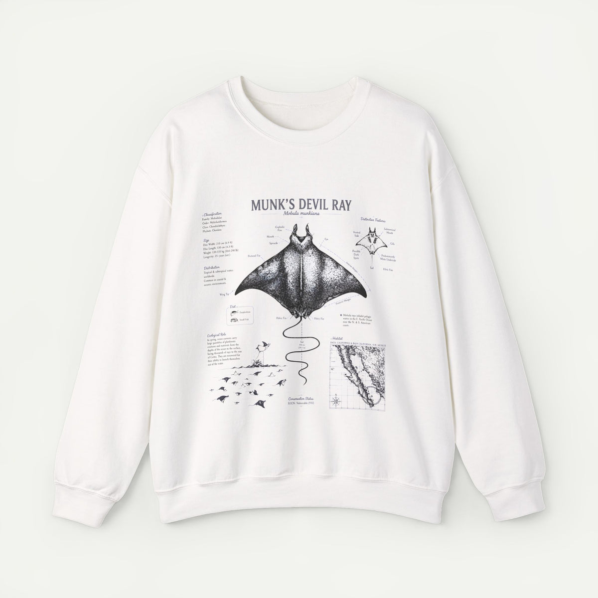 Munk’s Devil Ray Anatomy Sweatshirt — Vintage Marine Biology Graphic Crewneck