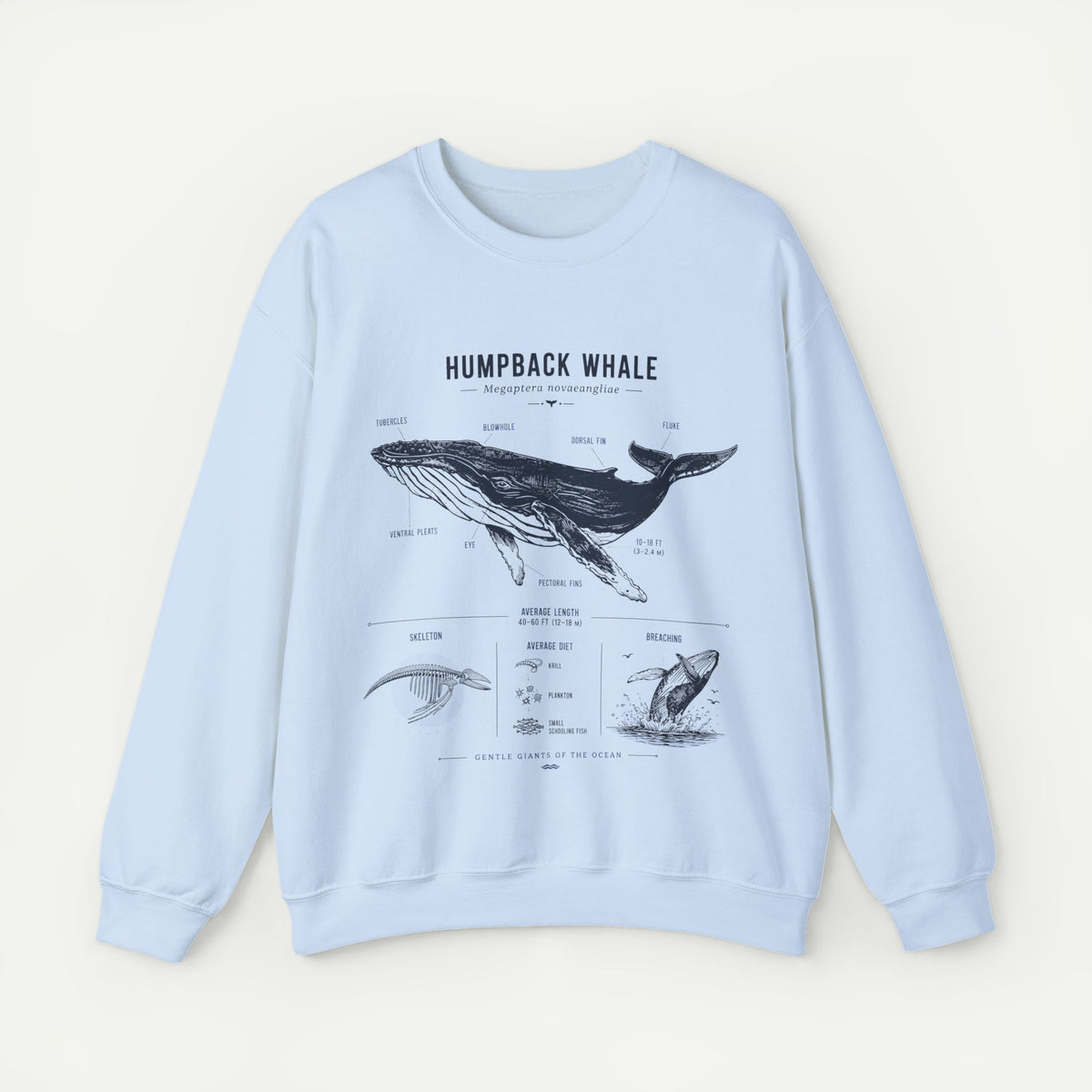 Humpback Whale Anatomy Sweatshirt Main image